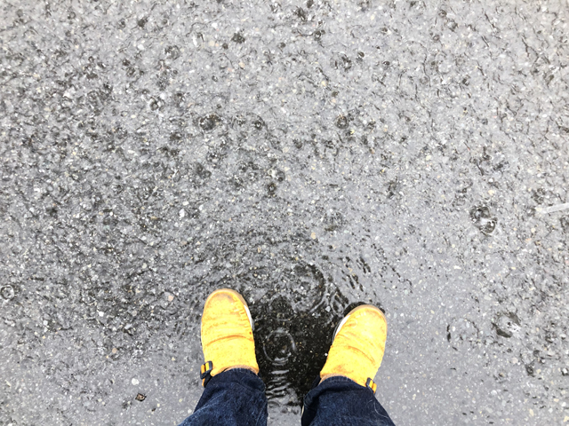 ある雨の日の情景 茅ヶ崎日記