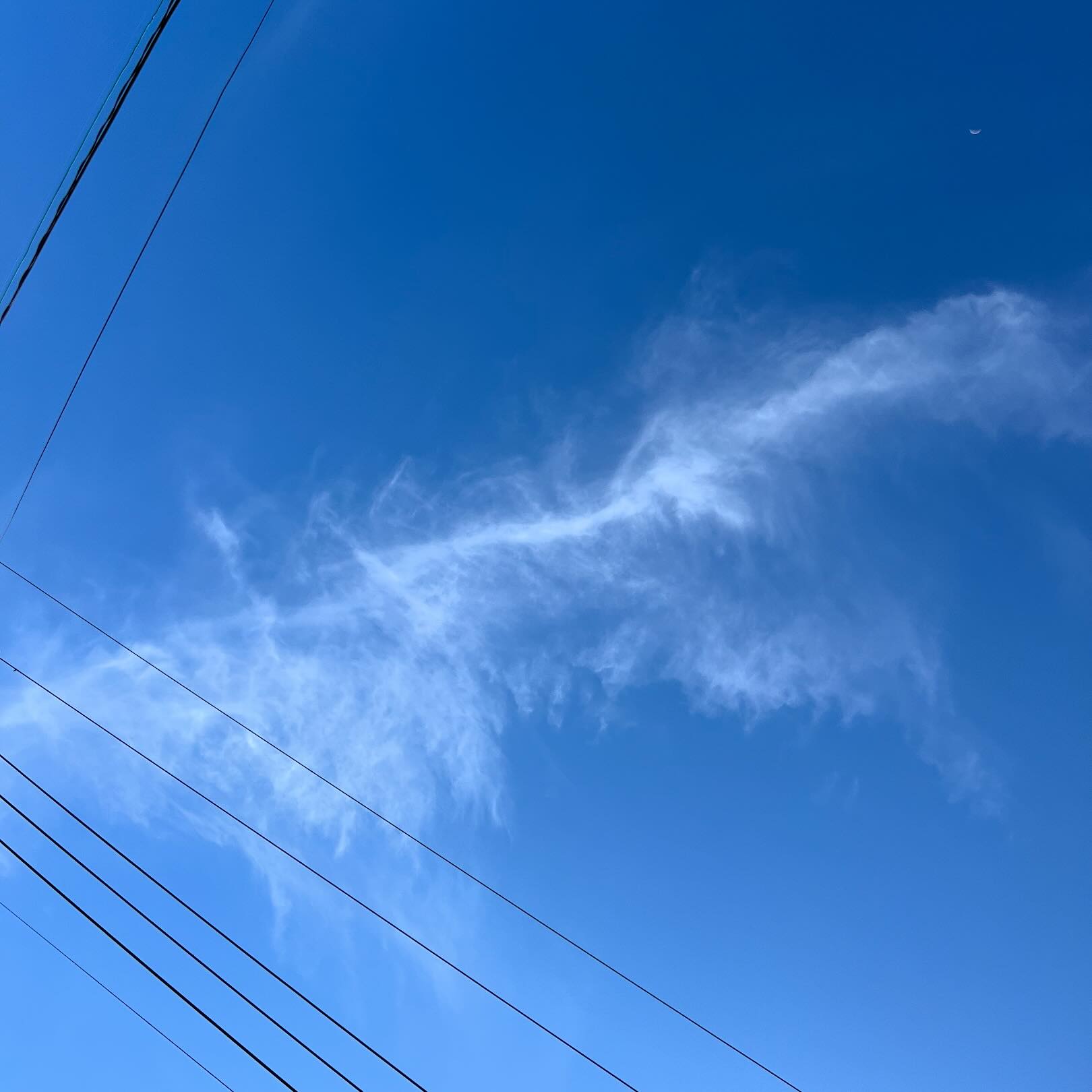 今日の空