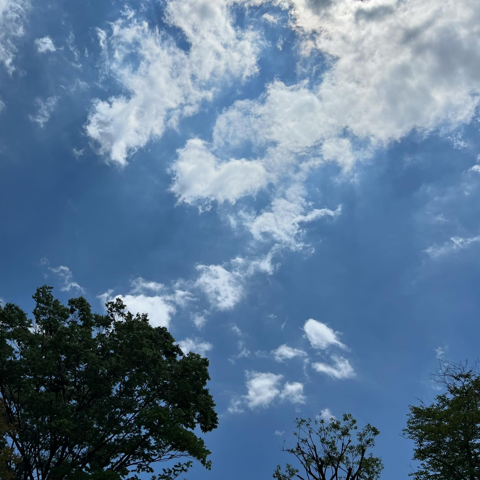 今日の空