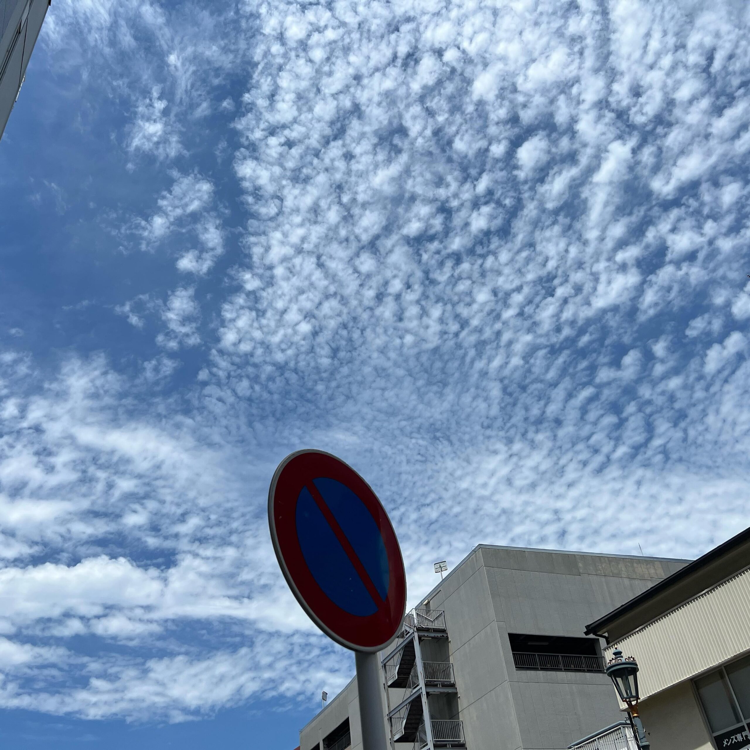 今日の空