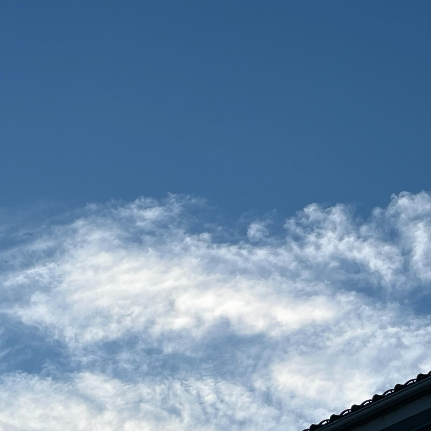 今日の空