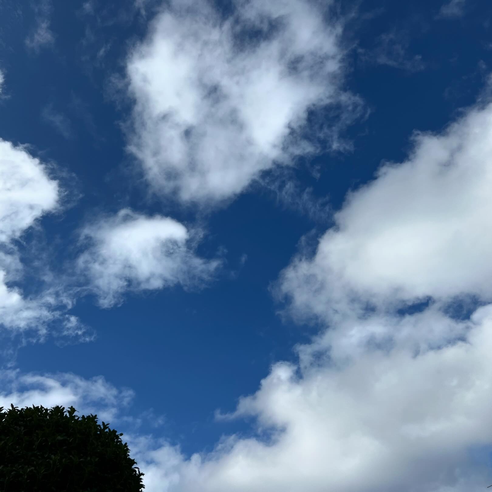 今日の空