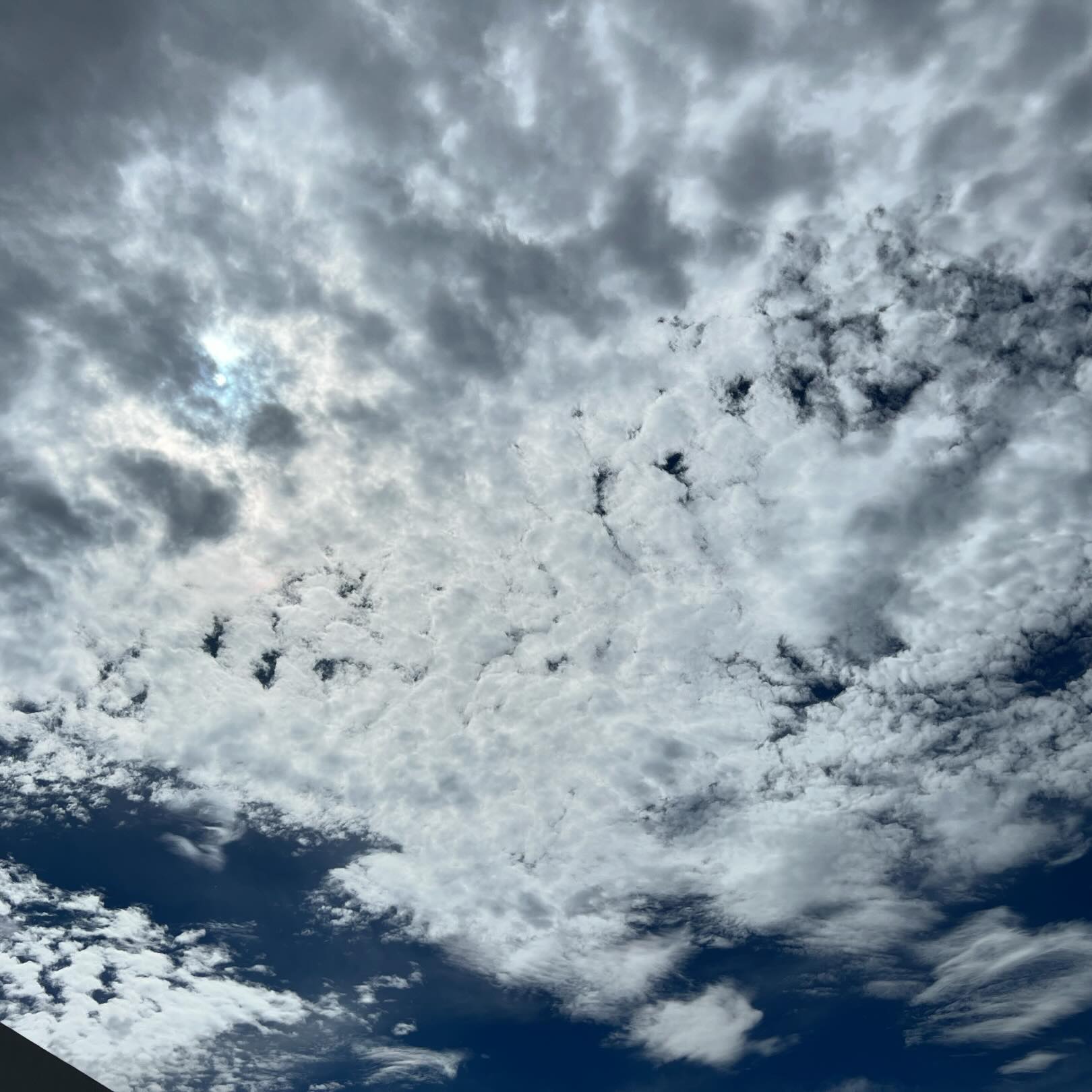 今日の空