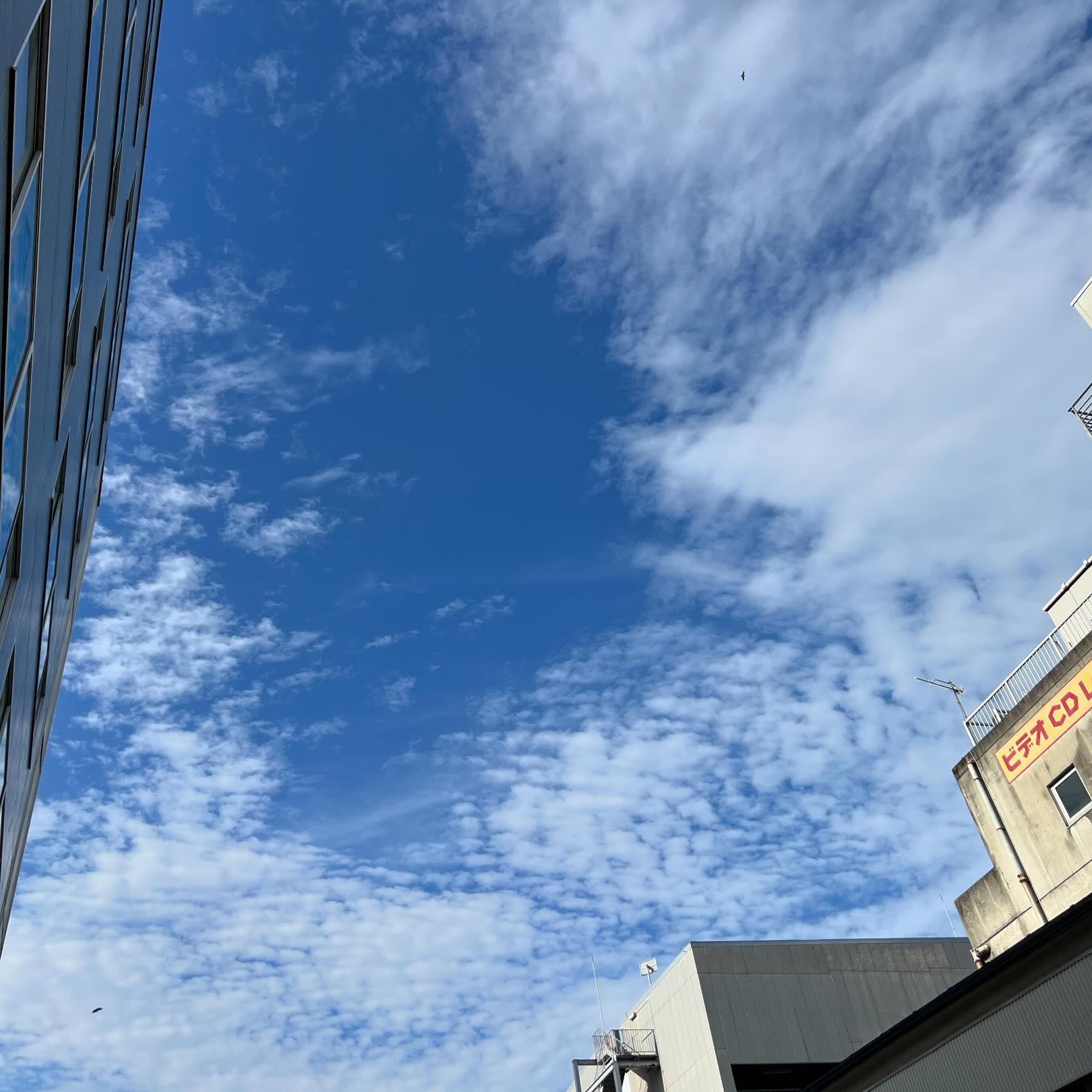 今日の空。梅雨、明けたんだなあ。