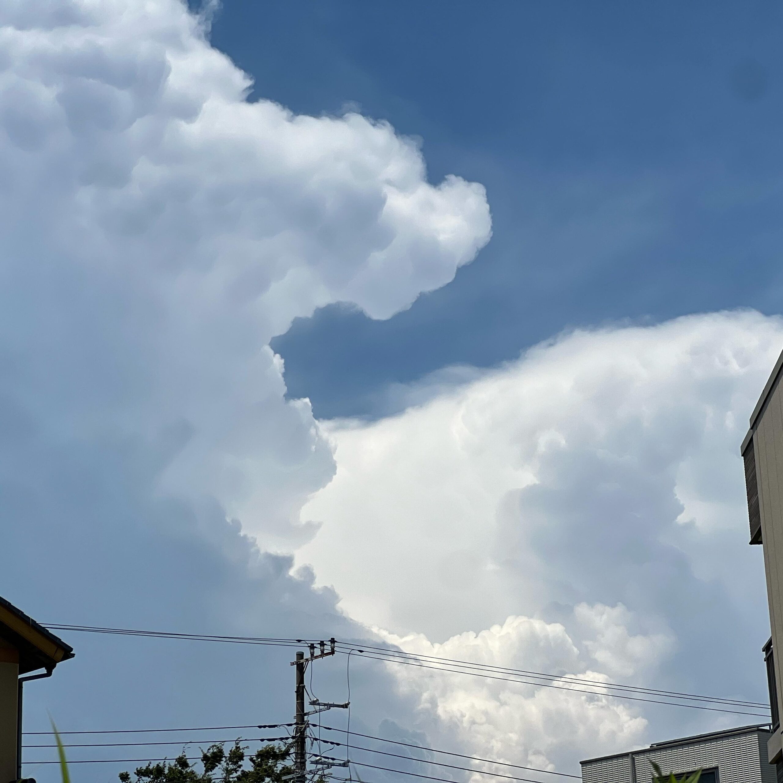 今日の空