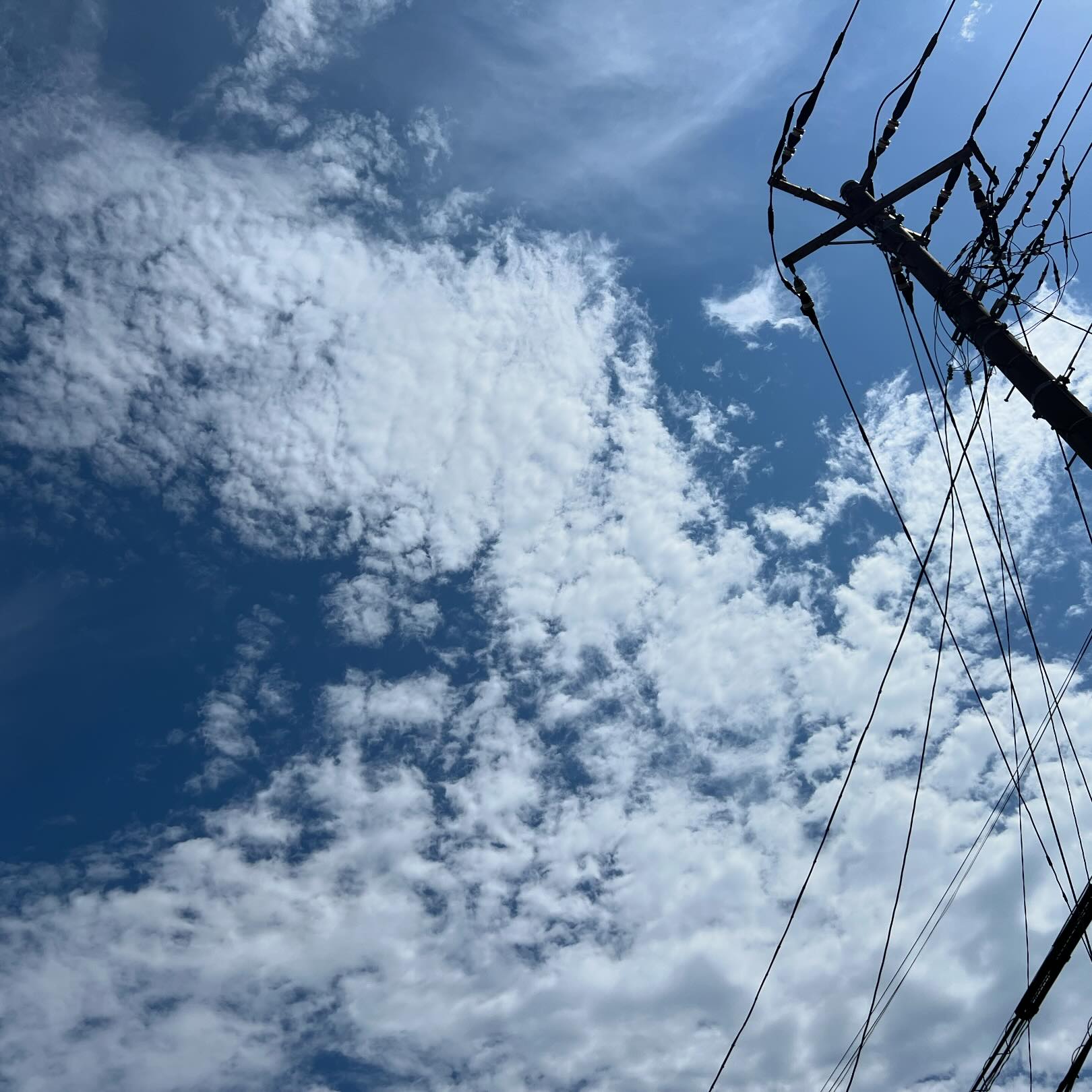 今日の空